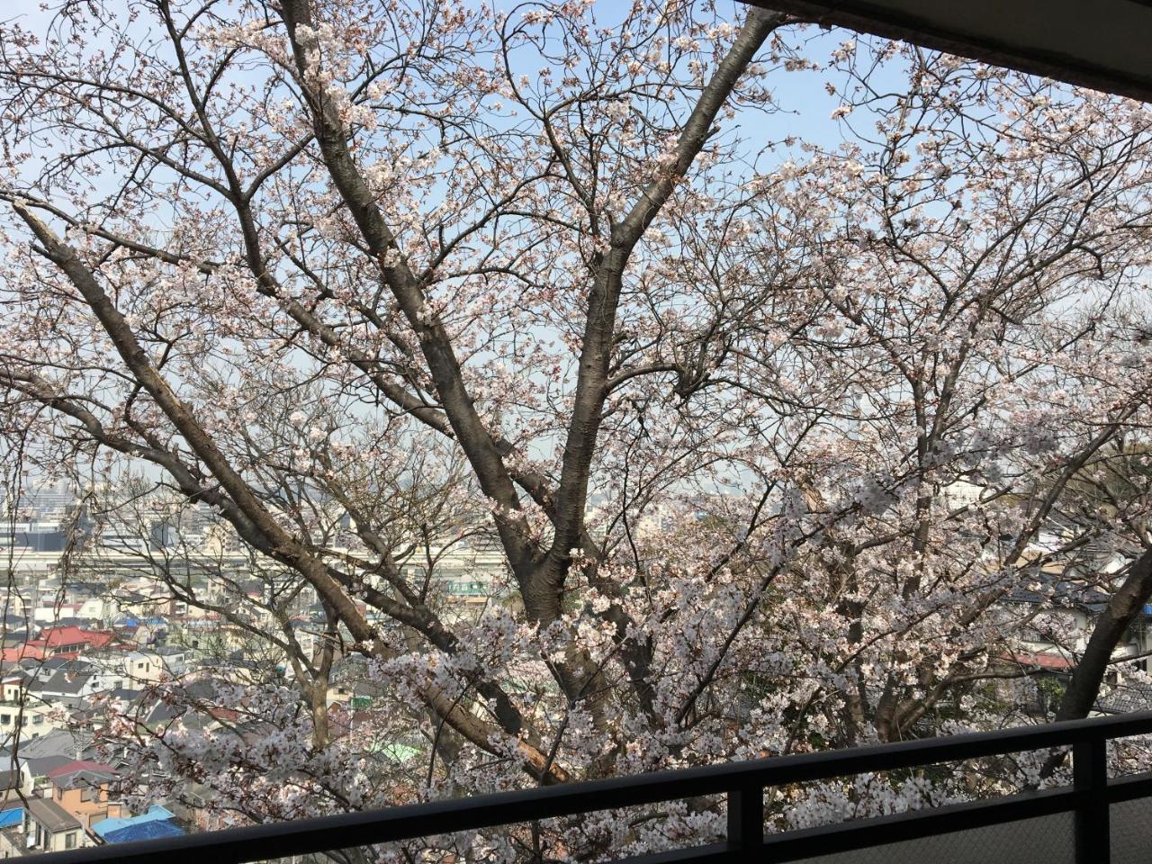 Apartament 平楽園弐番館２階 Jokohama Zewnętrze zdjęcie