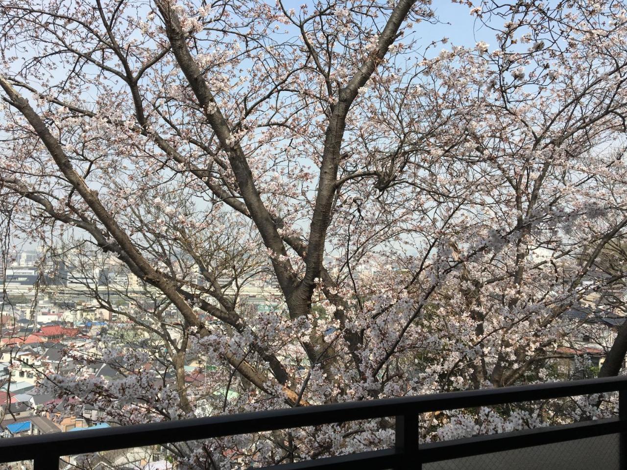 Apartament 平楽園弐番館２階 Jokohama Zewnętrze zdjęcie