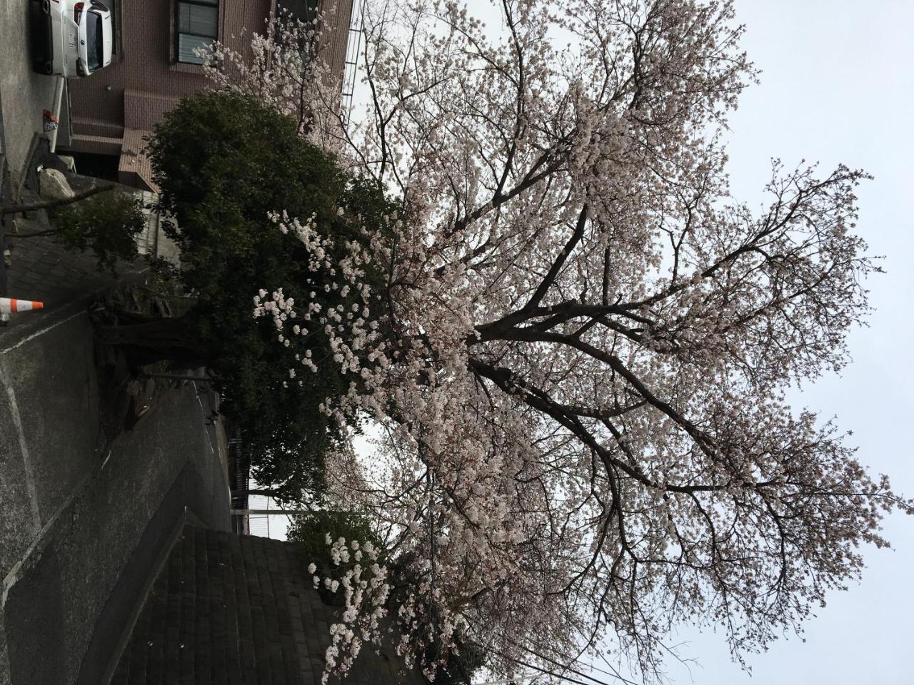 Apartament 平楽園弐番館２階 Jokohama Zewnętrze zdjęcie