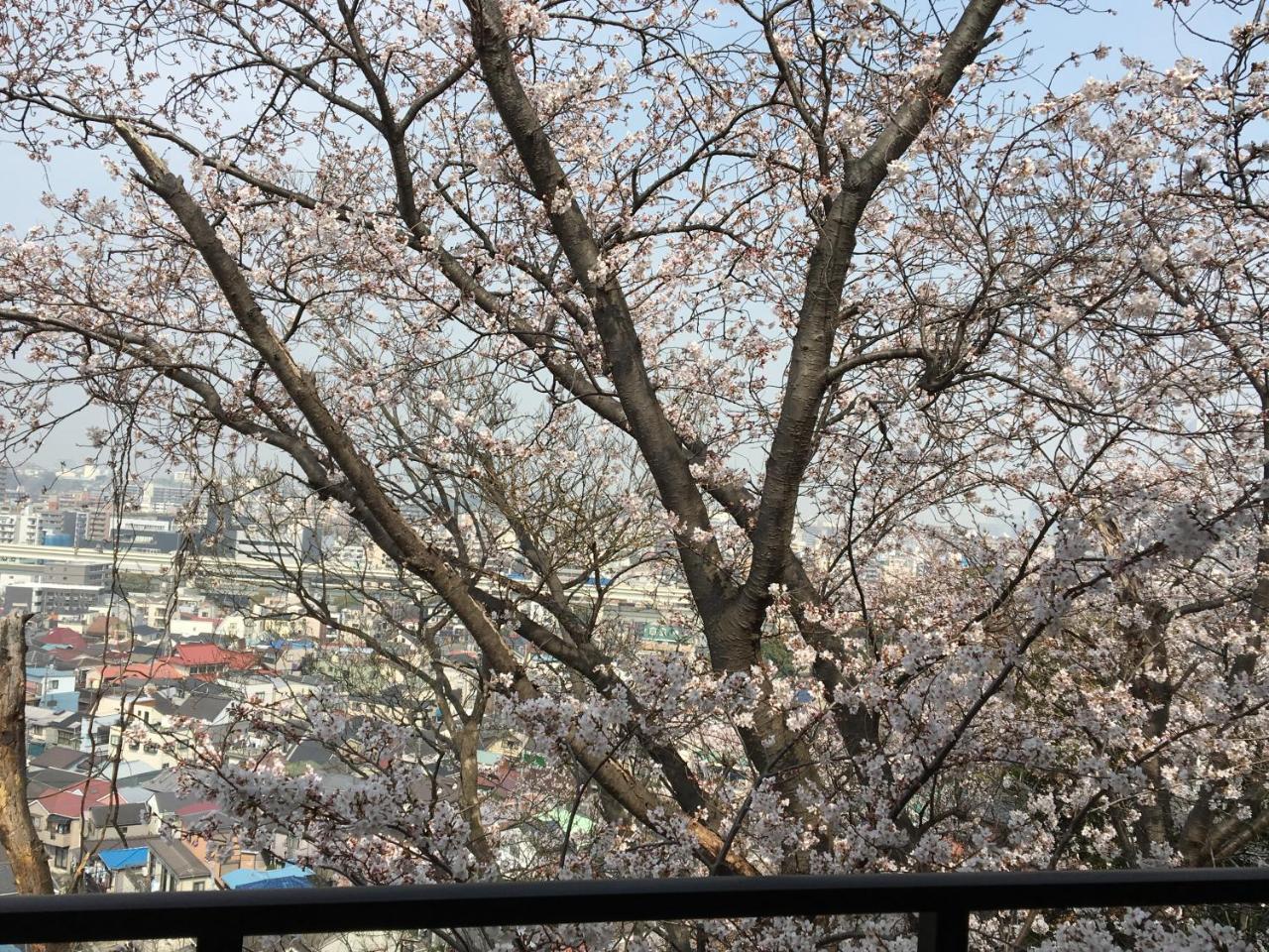 Apartament 平楽園弐番館２階 Jokohama Zewnętrze zdjęcie